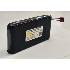 4S2P ART BATTERY PACK