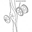 BALANCE MASTERS HÉLICE UL912